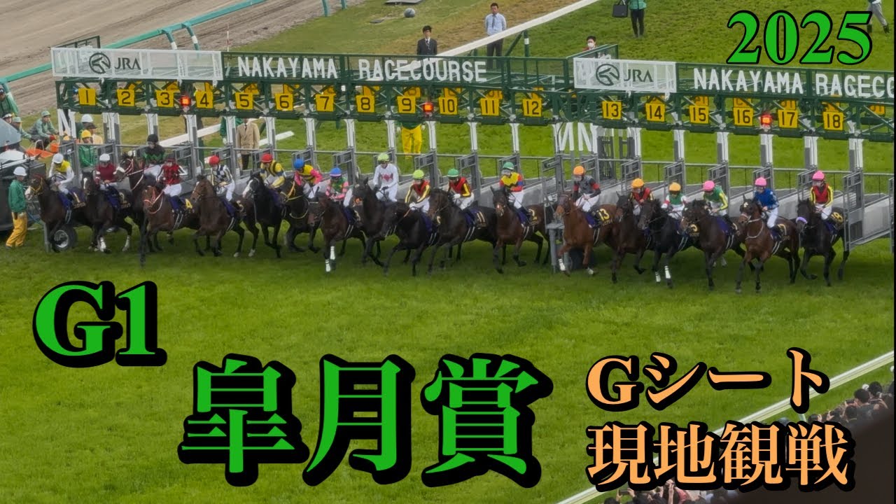 皐月賞2025 （Gシート目線）⭐︎パドック〜レース終了まで⭐︎