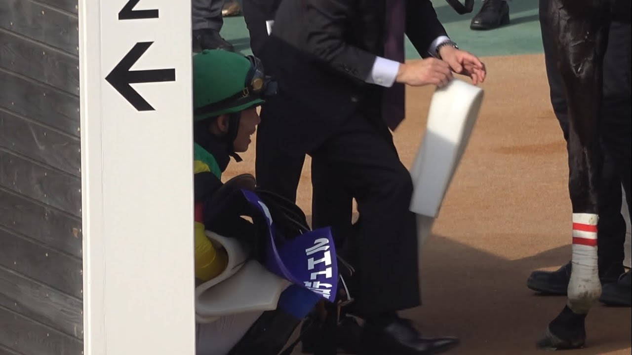 【現地】2025 J-G1 中山グランドジャンプ エコロデュエル 草野太郎 初J-G1初制覇！最終飛越でバランス崩すも立て直す！ グランプリロードで下馬後に燃え尽き座り込む【中山競馬場】