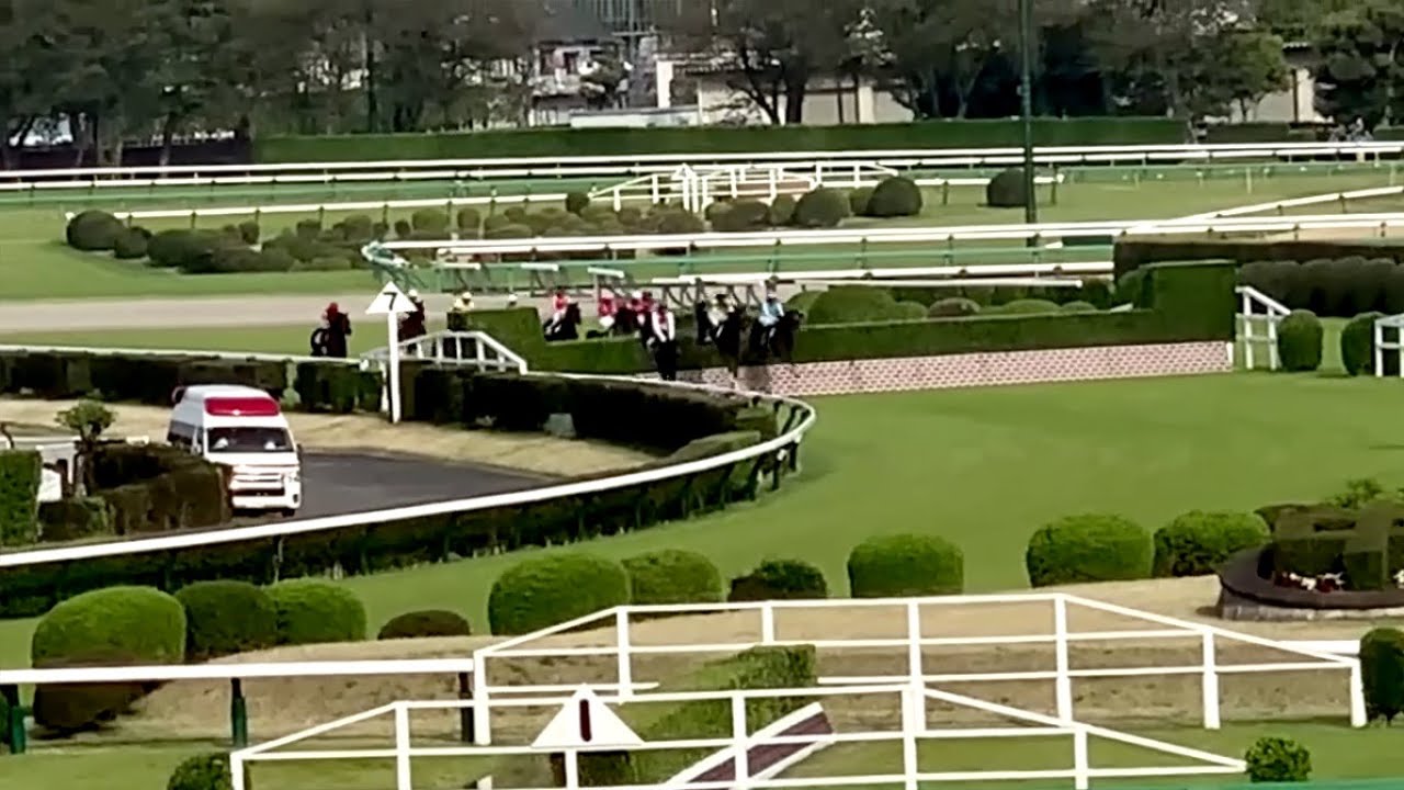 中山グランドジャンプ 2025.04.19 エコロデュエル圧勝