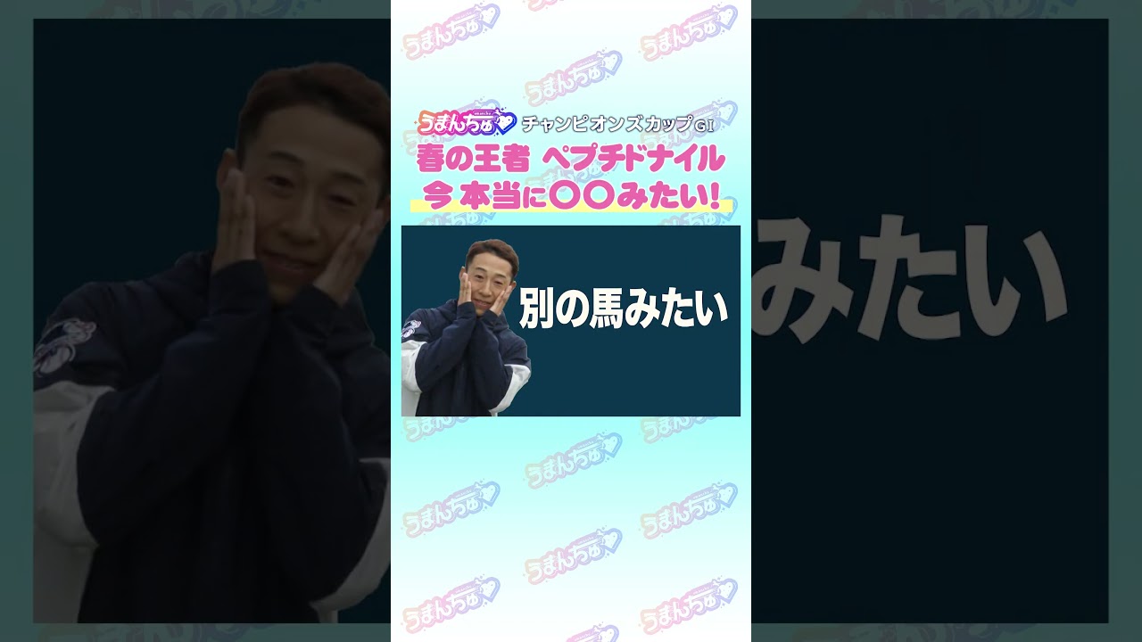チャンピオンズカップGⅠ トレセン直撃取材！        #競馬 #チャンピオンズカップ #ペプチドナイル #藤岡佑介 #うまんちゅ