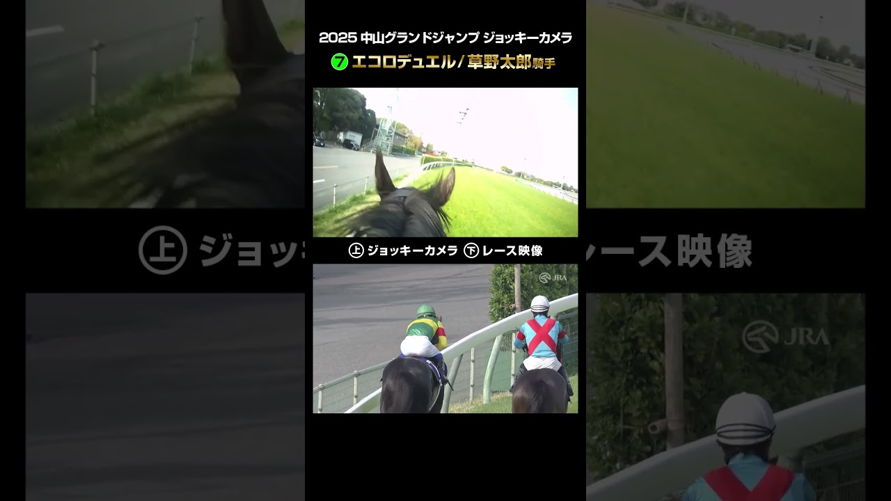 【ジョッキーカメラ×レース映像】2025年中山グランドジャンプ エコロデュエル 草野太郎騎手 #shorts ｜JRA公式