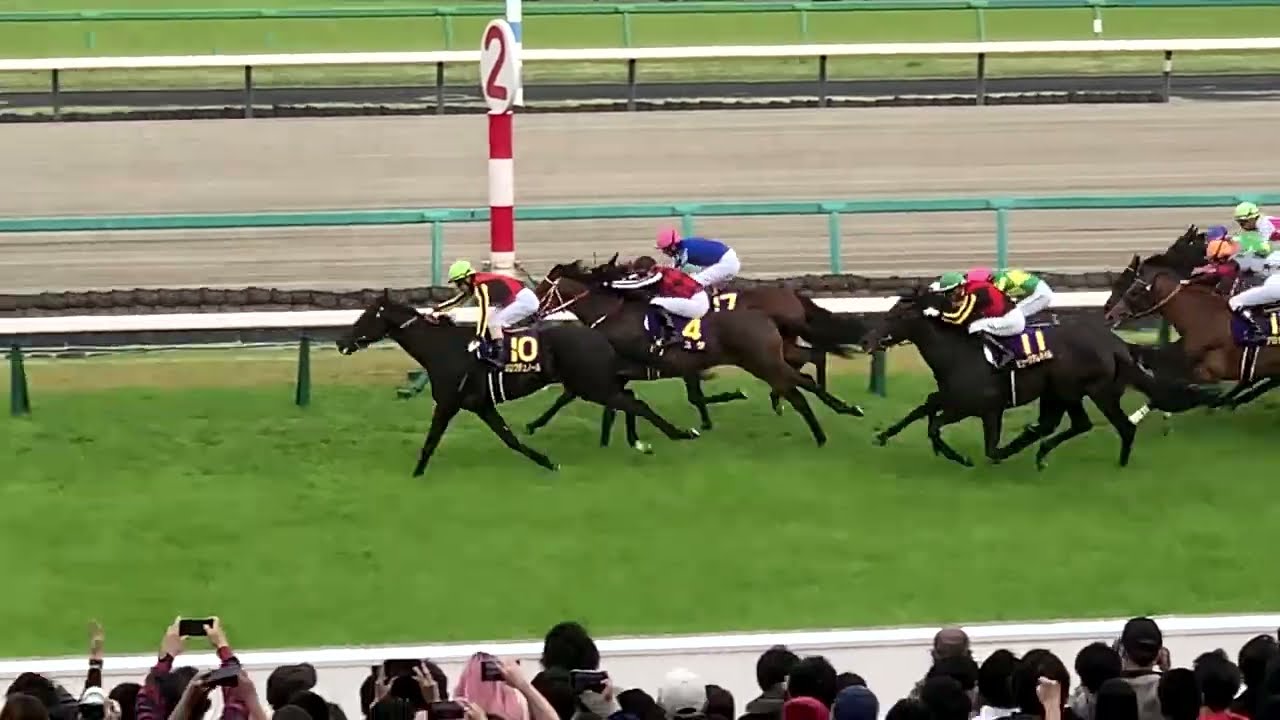 ＜モレイラマジック＞皐月賞 2025.04.20 ミュージアムマイルが大本命クロワデュノールを1馬身1/2差し切る