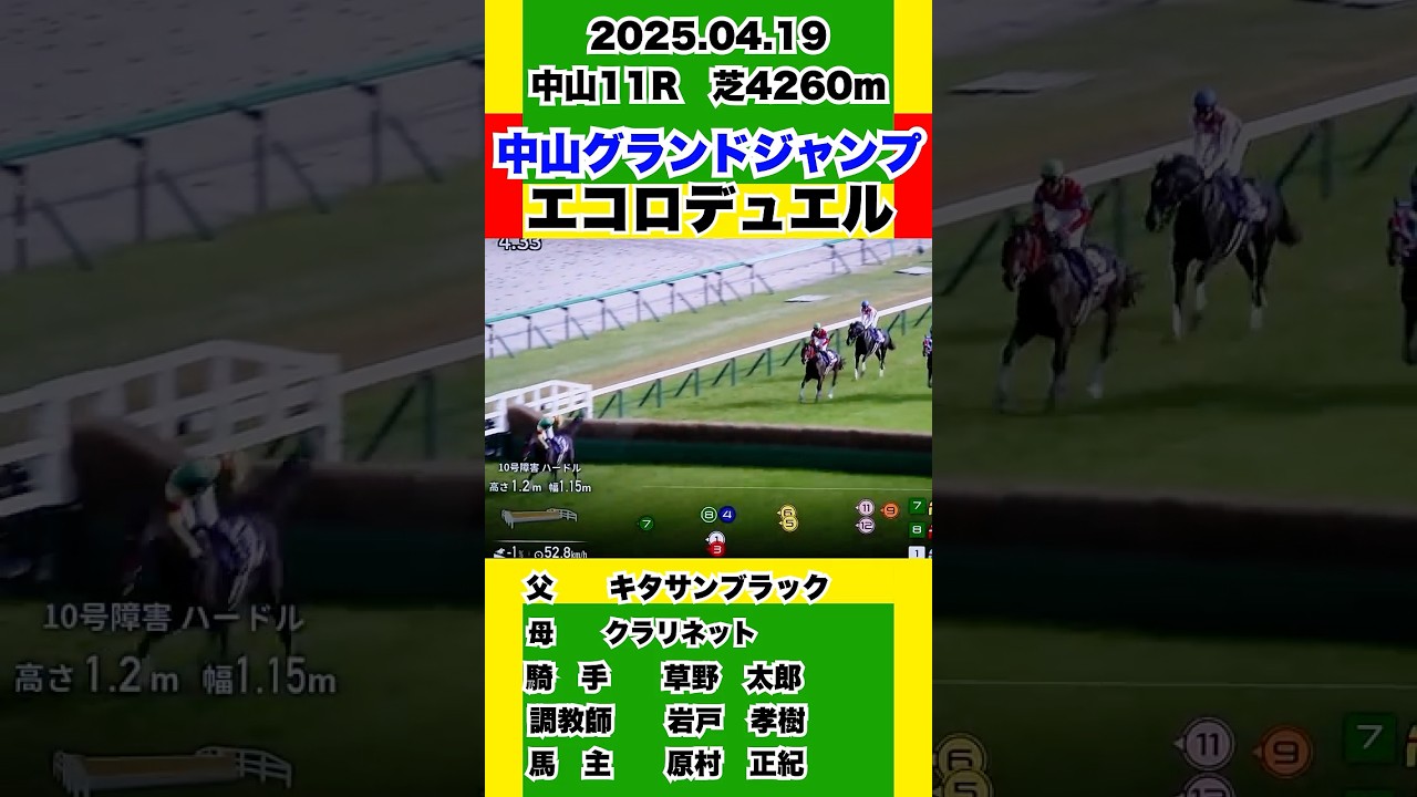 エコロデュエル【中山グランドジャンプ】