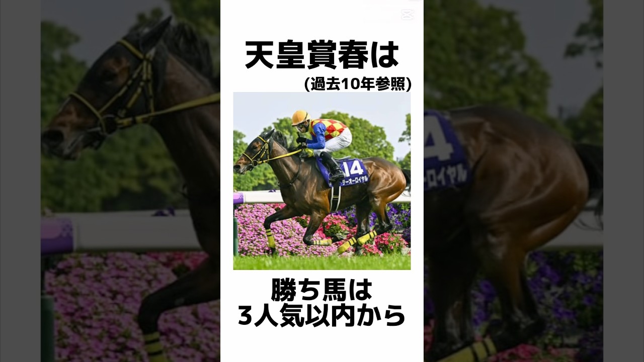 【天皇賞春2025】知れば得するデータ雑学‼️天皇賞春編～激アツ🔥データ発見‼️#天皇賞春 #天皇賞春2025 #青葉賞