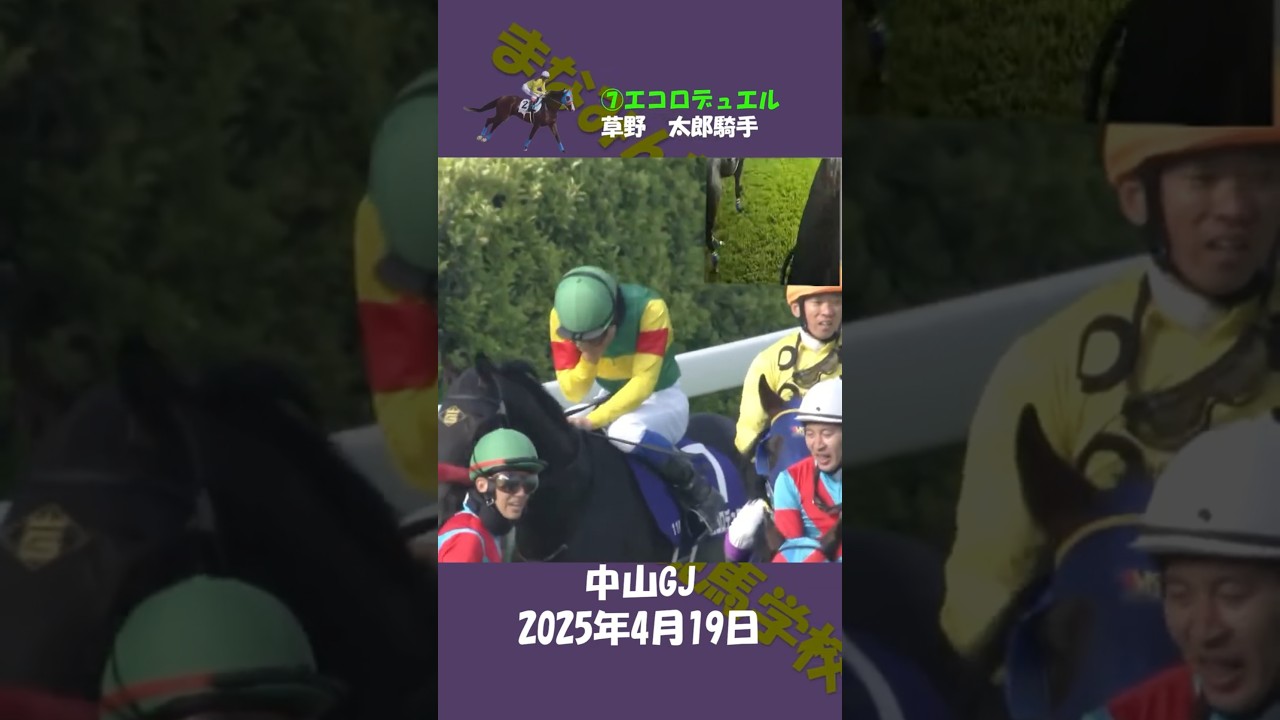 2025年中山GJ（ゴールの場面） #競馬