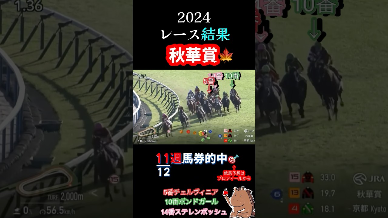 G1【秋華賞2024】レース結果🎯 11/12週馬券的中🎯初心者にも観やすい秋華賞🍁#競馬 #神回  #レース結果 #チェルヴィニア #ルメール #shorts