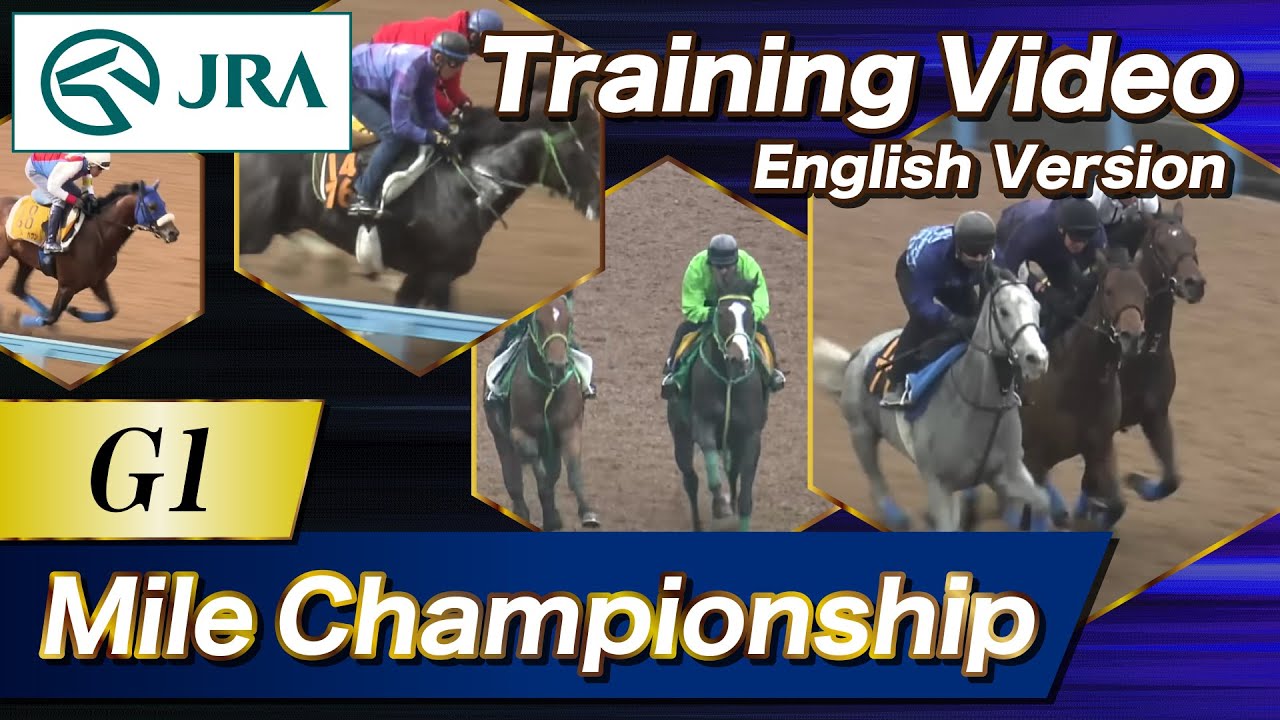 2024 Mile Championship (G1) Training Video | JRA Official [ENG sub] マイルチャンピオンシップ 調教VTR（英語版）