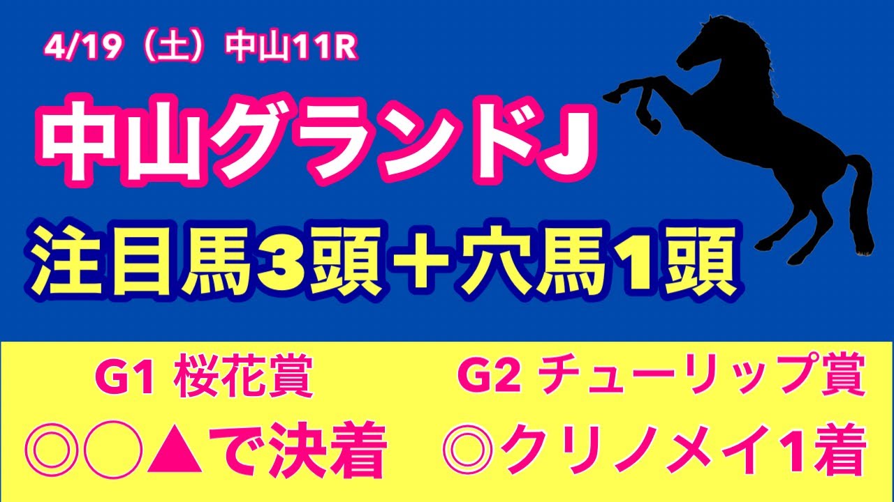 【中山グランドJ　2025　予想】