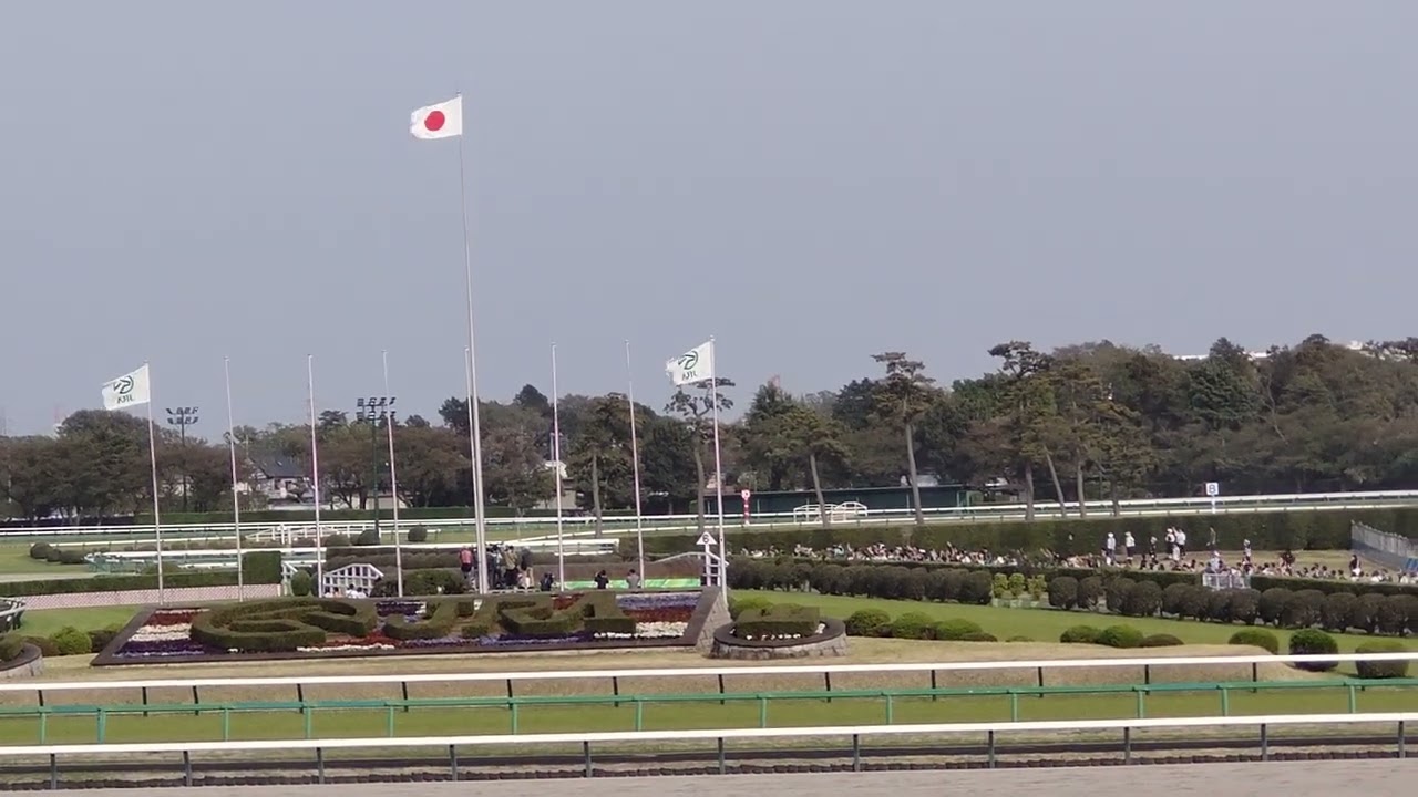 中山グランドジャンプ現地