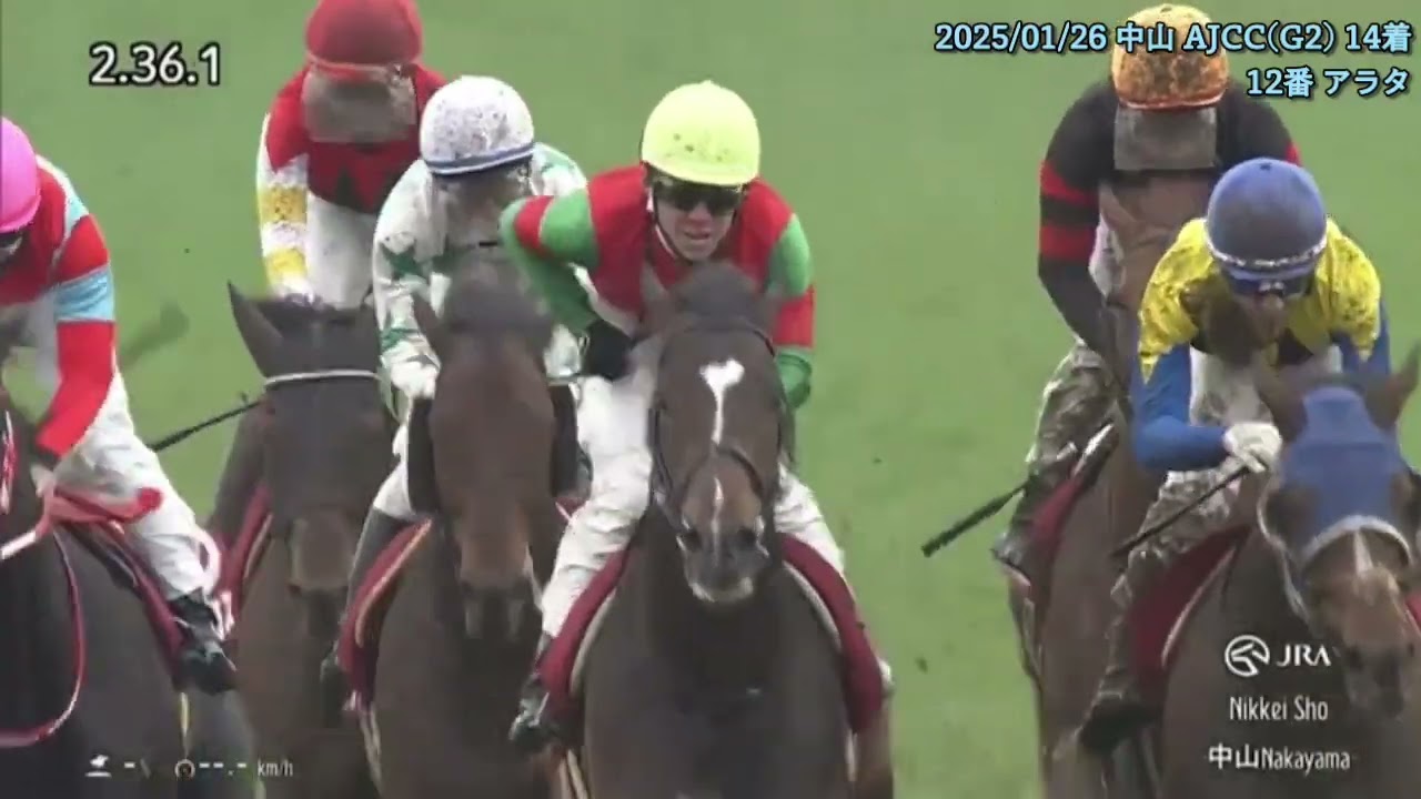 【天皇賞(春)出走】アラタ 直近3レース