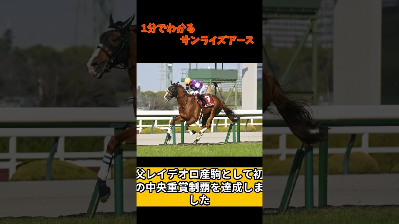 サンライズアース#サンライズアース#競馬#天皇賞春#shorts