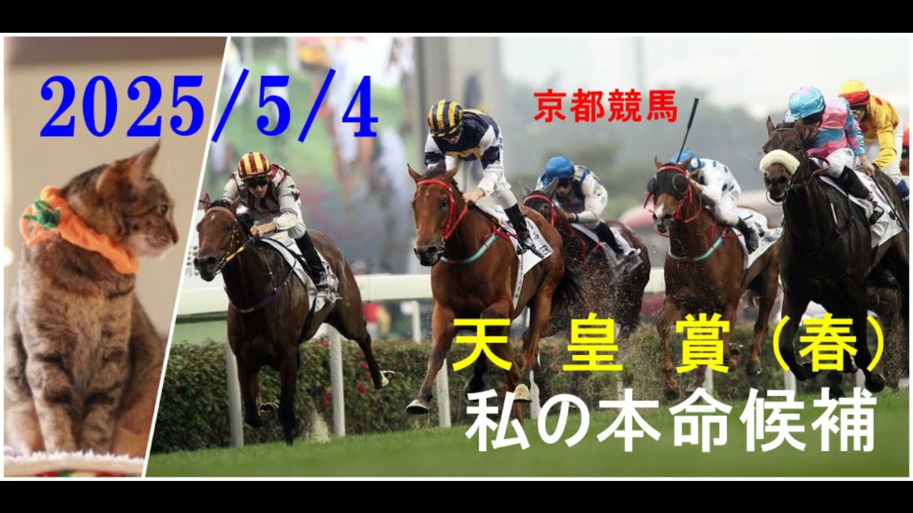 2025/5/4　京都競馬　天皇賞・春（ＧⅠ）私の本命候補
