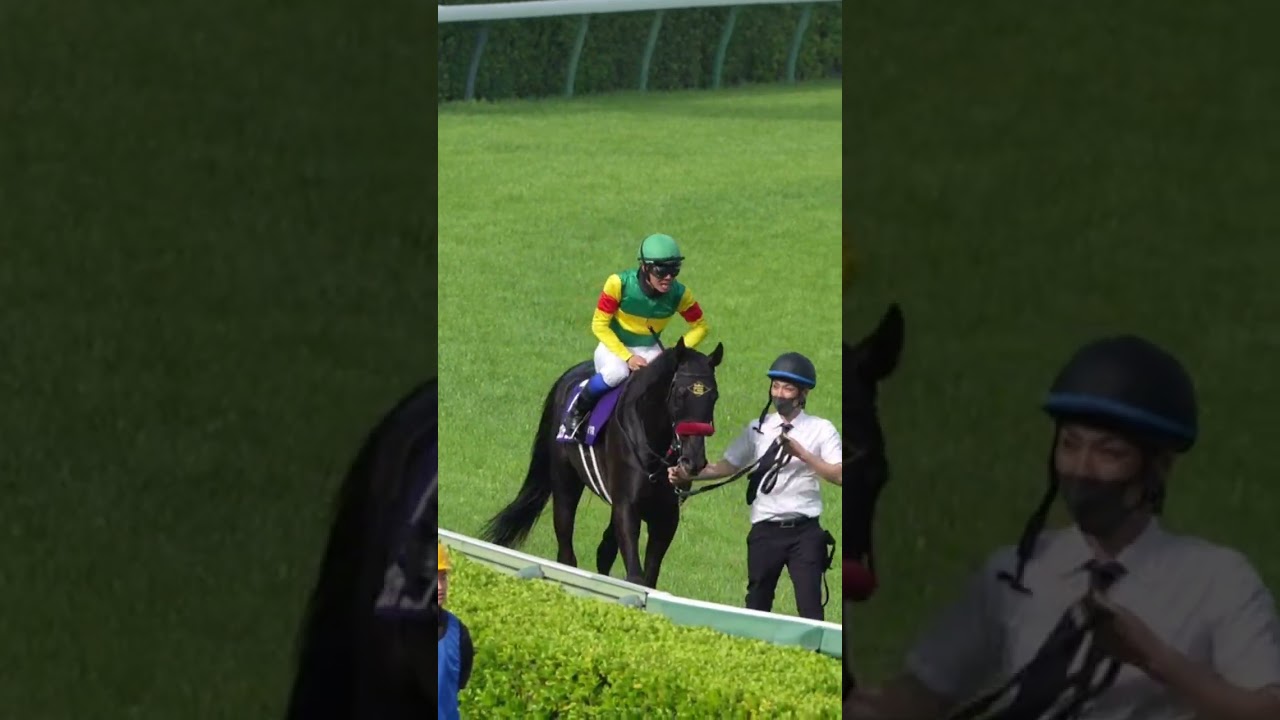 エコロデュエルのウイニングラン 2025年中山グランドジャンプ 草野太郎騎手