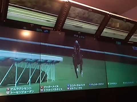 8カイブツオバナ 天皇賞春