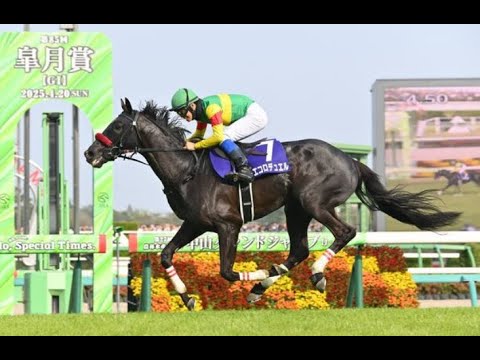 20250419 競馬ﾚｰｽﾄﾋﾟｯｸ　08【草野騎手G1勝利おめでとう!!】'25中山ｸﾞﾗﾝﾄﾞｼﾞｬﾝﾌﾟ T4260 障害G1 エコロデュエル