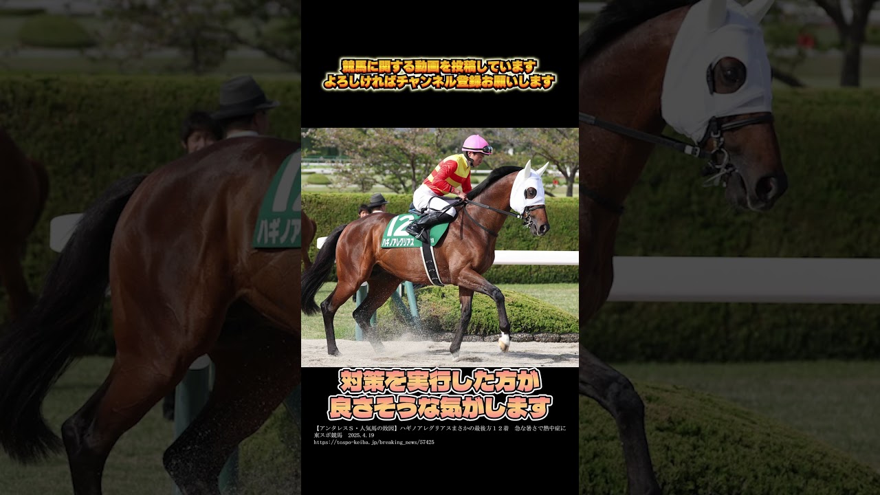 まだ4月ながら早くも熱中症になる馬が... #shorts #競馬 #中山グランドジャンプ #アンタレスステークス #マイネルグロン #ハギノアレグリアス