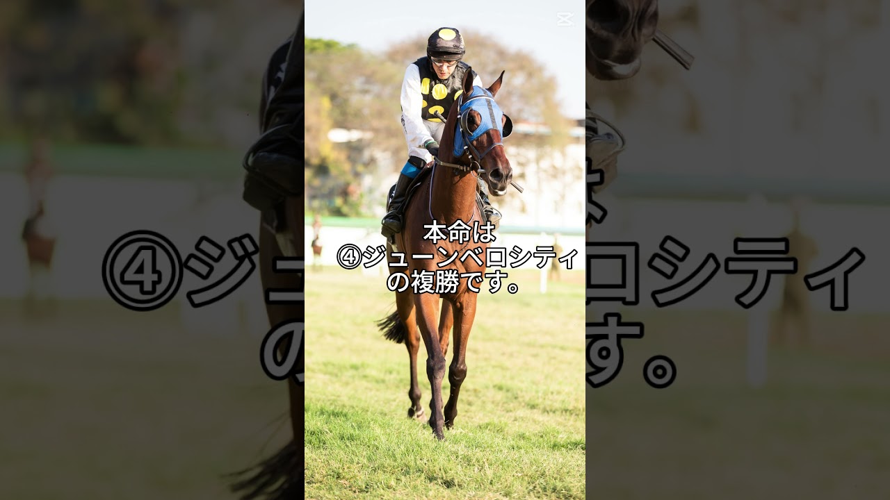 2025年中山GJの20秒間・電撃予想です。（忙しい人向け。）#コアビタシオン