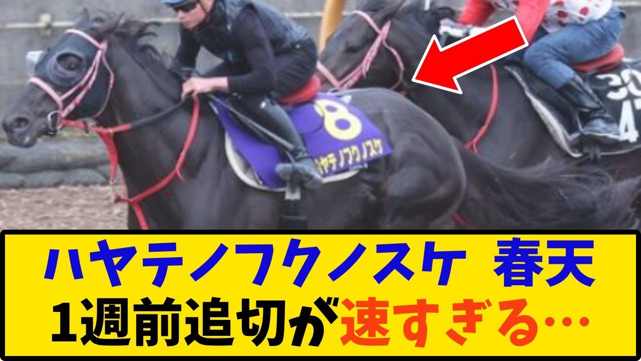【競馬】「ハヤテノフクノスケ 春天 1週前追切がハヤすぎる…」に対する反応【反応集】