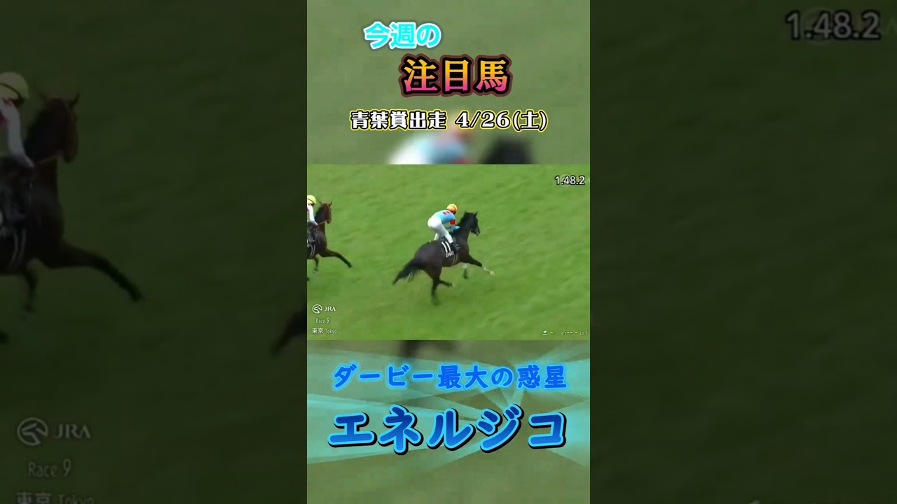 今週は日本ダービーの前哨戦 .青葉賞 (G2)が行われます！ #競馬 #馬 #競馬予想 #shorts