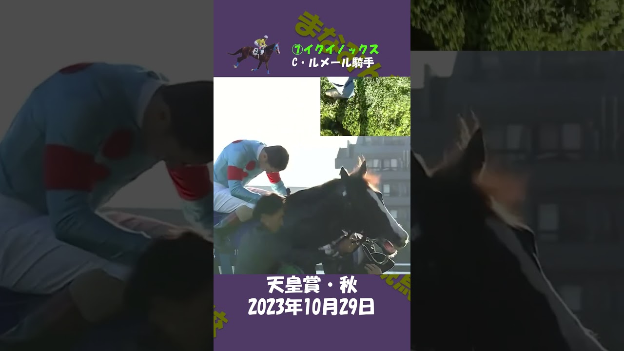 2023年天皇賞・秋（ウイニングラン） #競馬