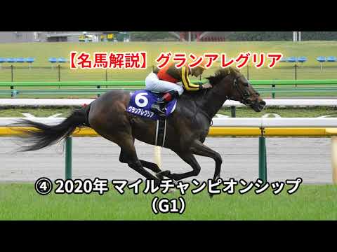 【名馬解説】グランアレグリア