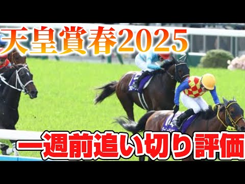 天皇賞春2025 一週前追い切り評価