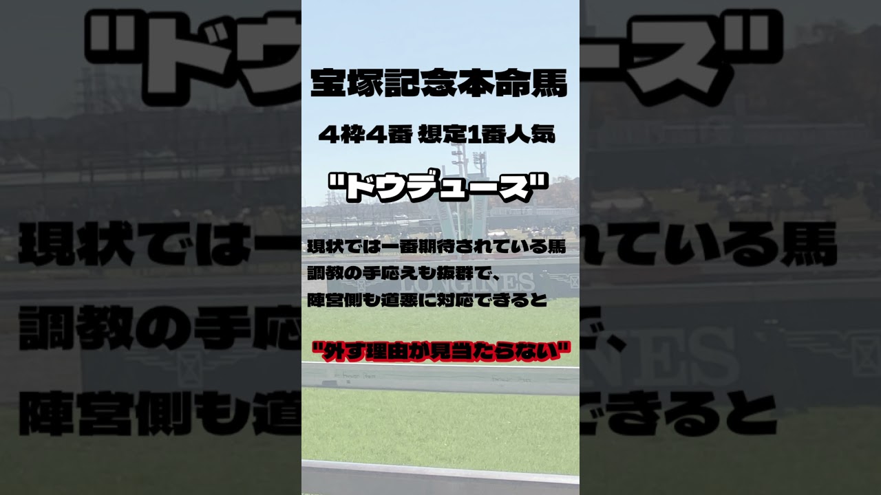 宝塚記念 2024年 本命馬+対抗馬2頭