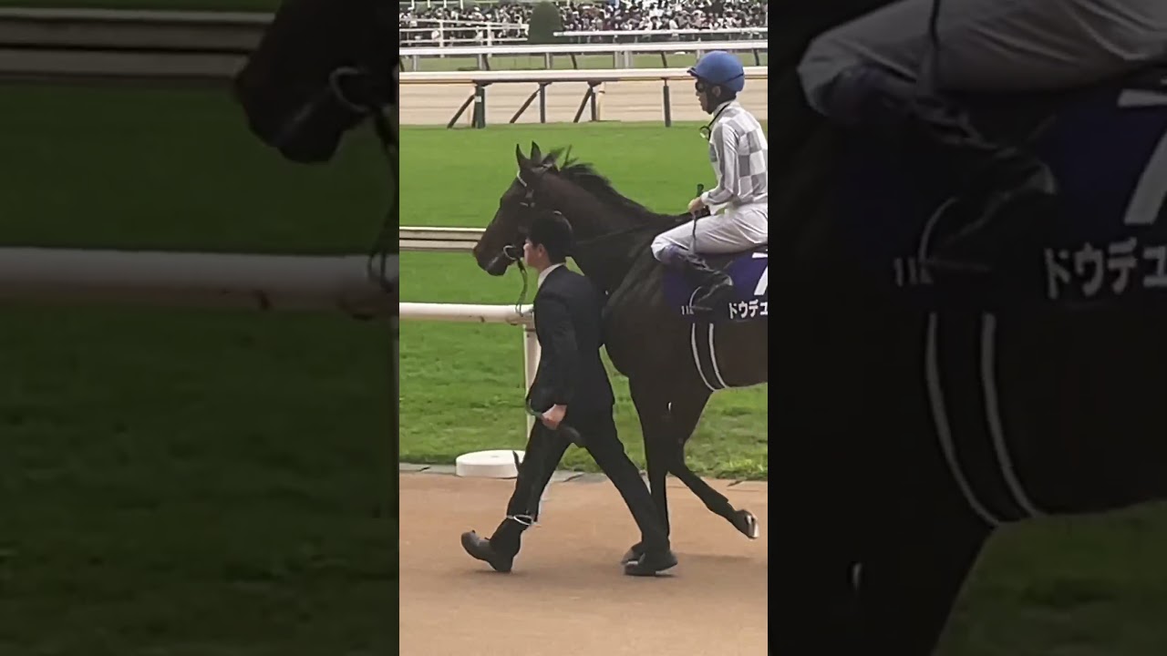 【現地映像】天皇賞・秋（2024年）ドウデュースと武豊騎手 ウイニングラン　#天皇賞秋 #天皇賞秋2024 #武豊　#ドウデュース