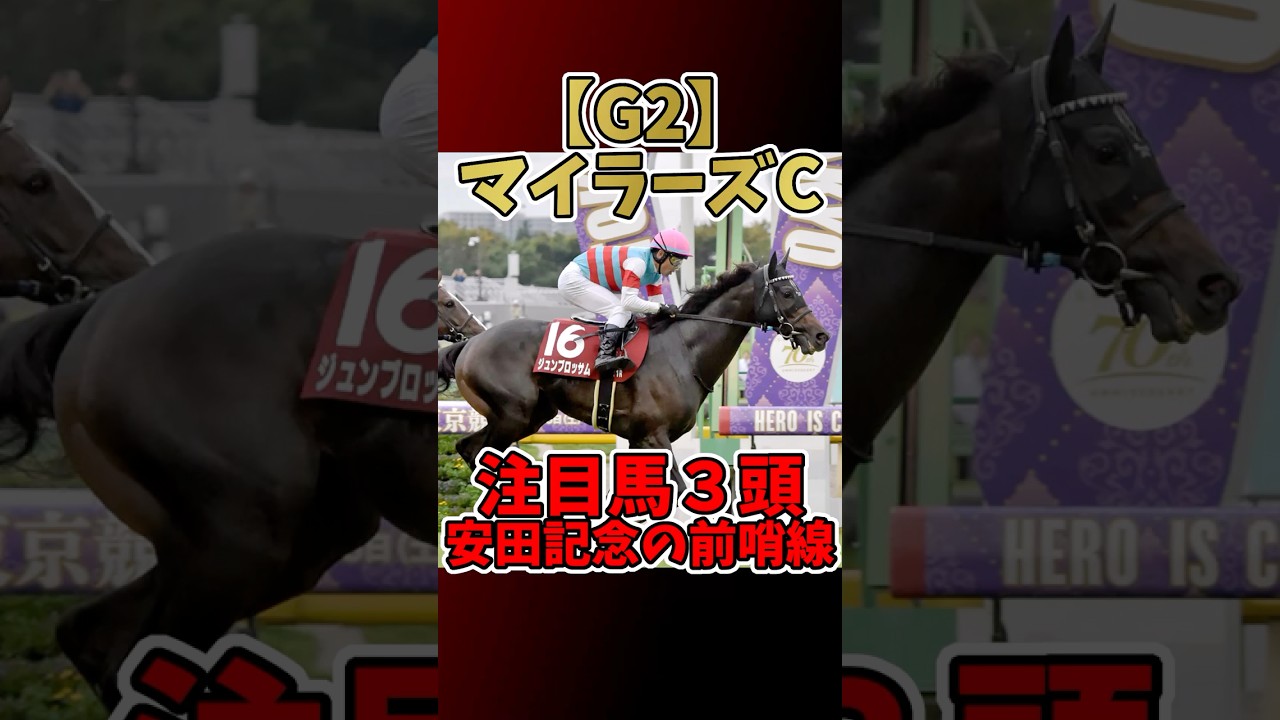【競馬】【マイラーズC2025】注目馬3頭まとめ！安田記念の前哨戦！#マイラーズカップ #京都競馬場 #ジュンブロッサム #ロングラン #ニホンピロキーフ #武豊 #岩田康誠 #田口貫太 #GII