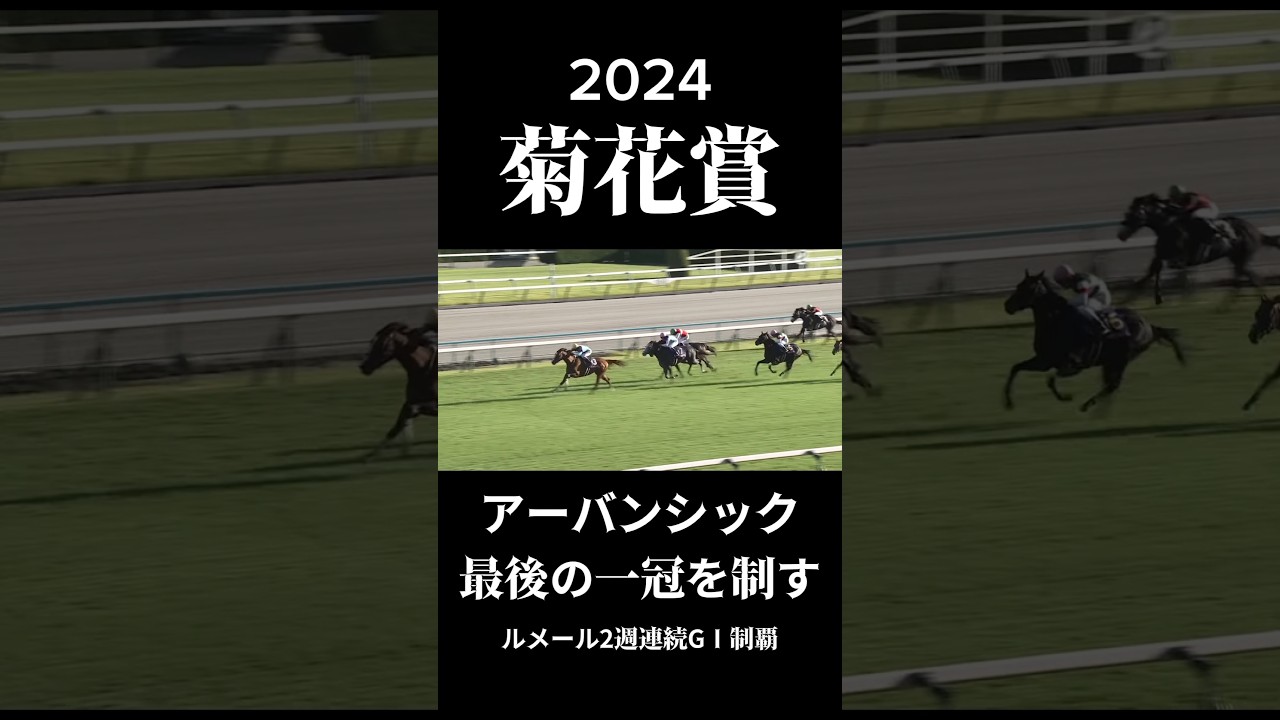 【2024年 菊花賞】アーバンシックが最後の一冠を制す【競馬】【結局ルメール】