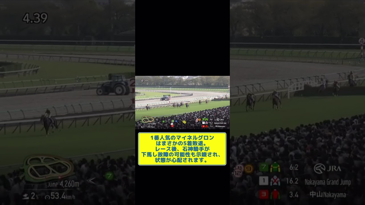 中山グランドジャンプJG1♯競馬♯ウマ娘♯競馬ファン♯中山グランドジャンプ2025♯2025.4.19