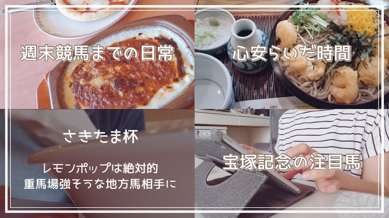 【競馬好き主婦の日常】宝塚記念までの日々