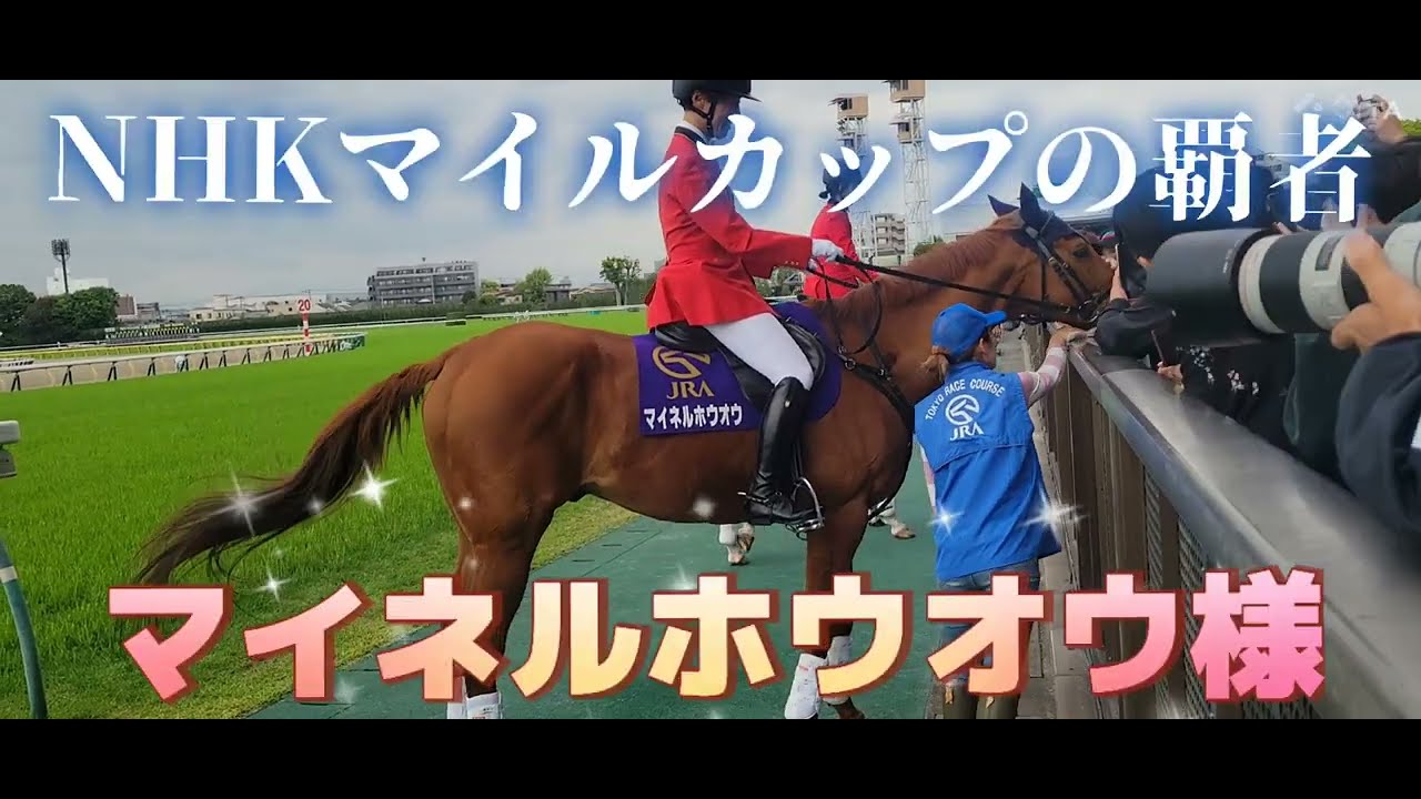 【癒し】人懐こい誘導馬マイネルホウオウ…NHKマイルカップの覇者