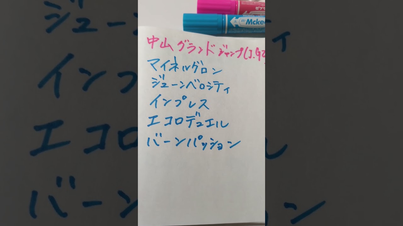 中山グランドジャンプ2025　当たらない予想　リベンジ