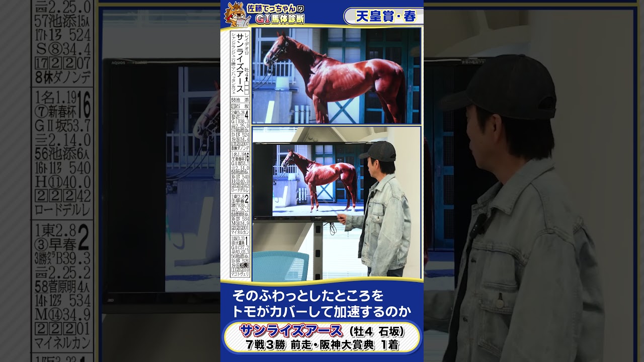 【2025年 天皇賞・春】サンライズアース馬体診断　 #shorts #競馬 #予想