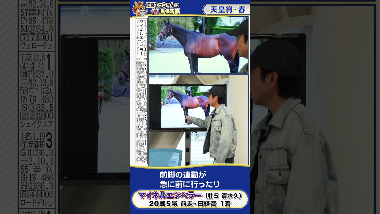 【2025年 天皇賞・春】マイネルエンペラー馬体診断　 #shorts #競馬 #予想