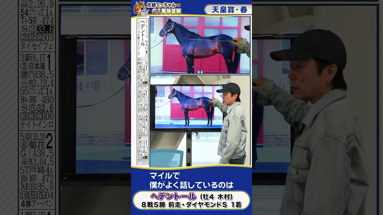 【2025年 天皇賞・春】ヘデントール馬体診断　 #shorts #競馬 #予想