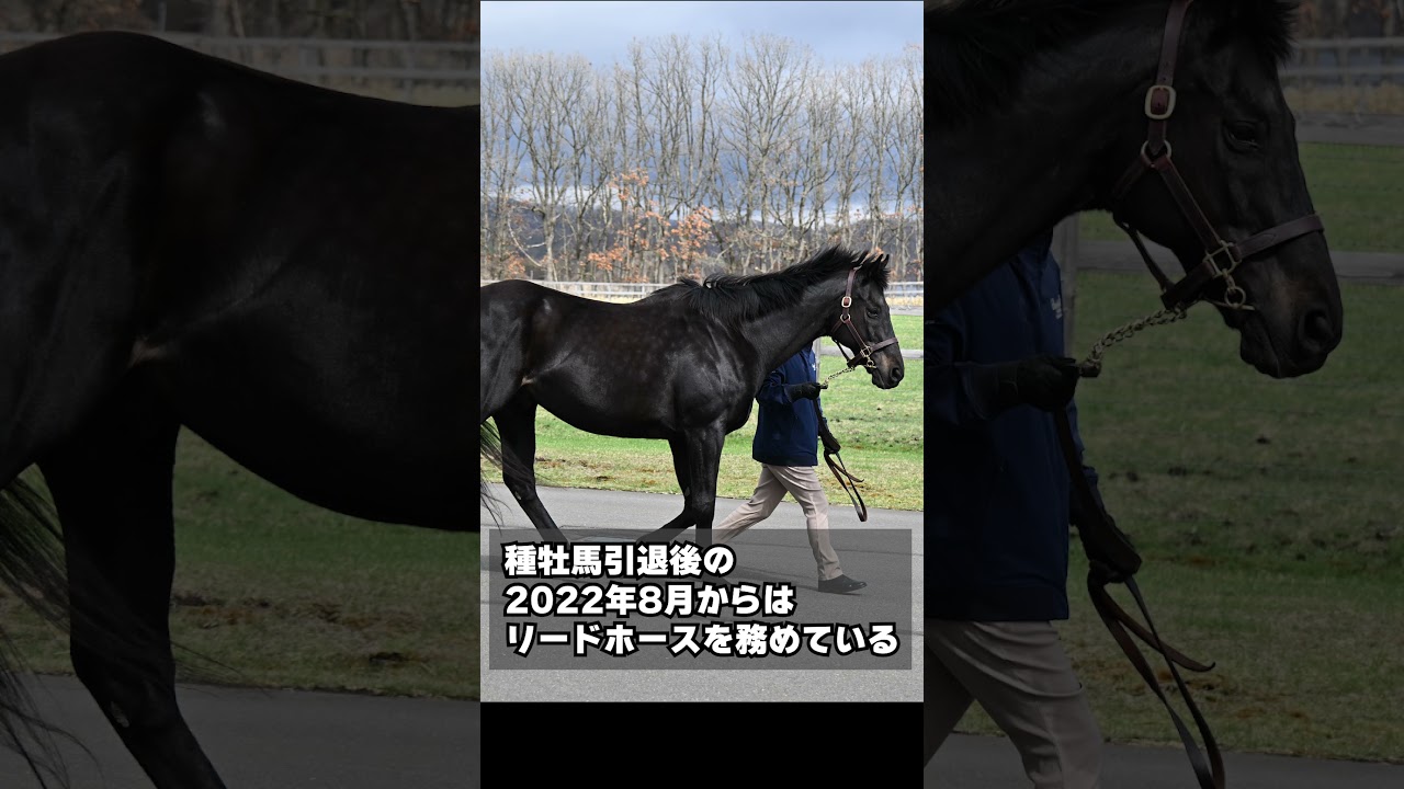 【風のたより】天皇賞・春勝ち馬フェノーメノ