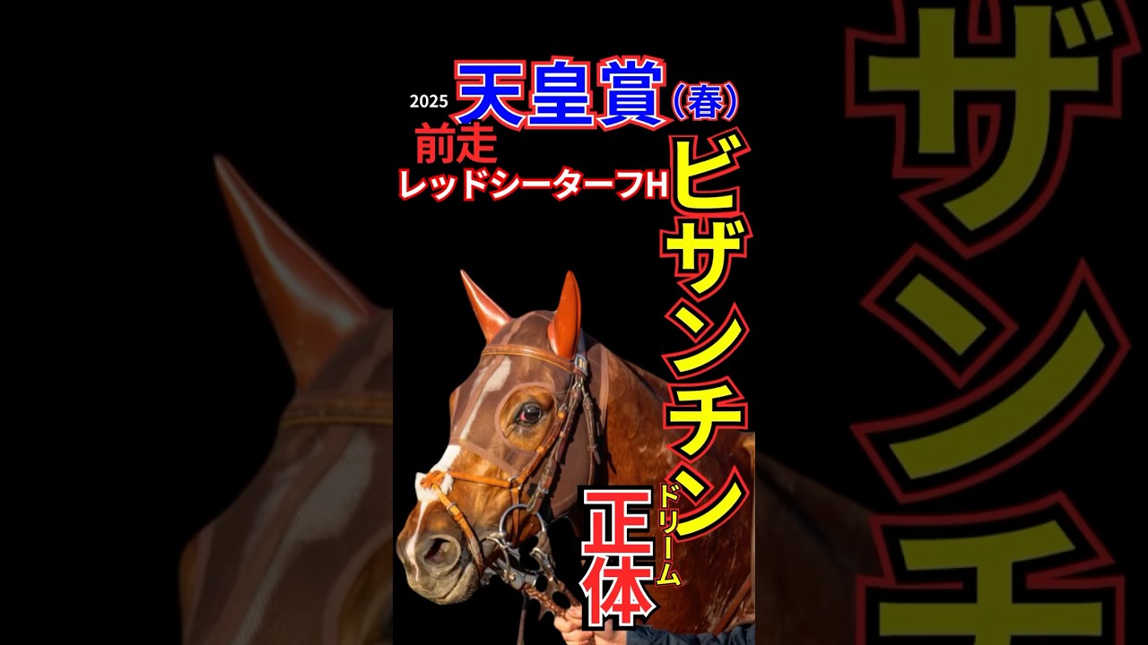 天皇賞（春）2025 ビザンチンドリームの正体　#天皇賞（春）2025 #ビザンチンドリーム　#レッドシーターフハンデ2025