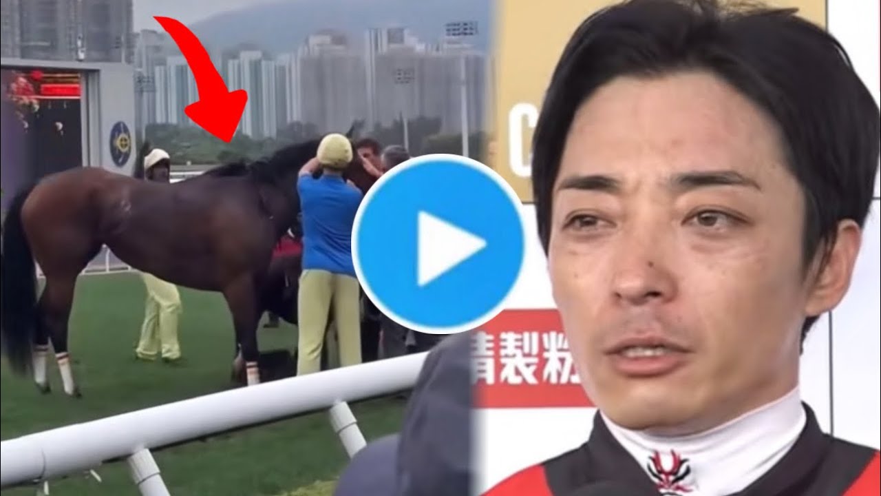 ３冠牝馬リバティアイランド安楽死の悲劇｜クイーンエリザベス２世Ｃ2025