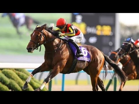 リバティアイランド、香港G1で悲劇の故障　予後不良で安楽死