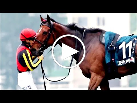 リバティアイランド悲劇！クイーンエリザベス2世カップで衝撃の失速｜競馬ファン絶叫【最新競馬ニュース】