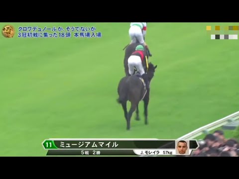 2025年 皐月賞（GI）本馬場入場【ミュージアムマイル】