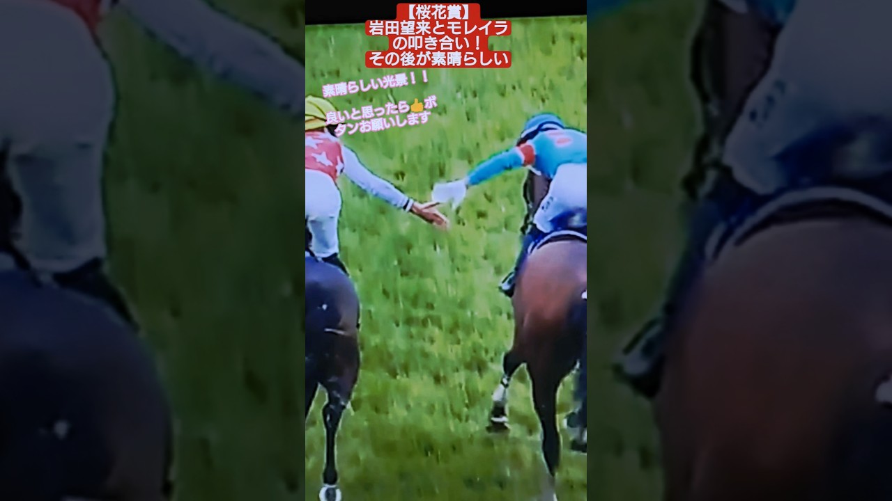 【桜花賞エンブロイダリー優勝】モレイラ騎手を讃える岩田望来騎手が素晴らしい！ #競馬 #桜花賞 #アルマヴェローチェ #岩田望来 #モレイラ