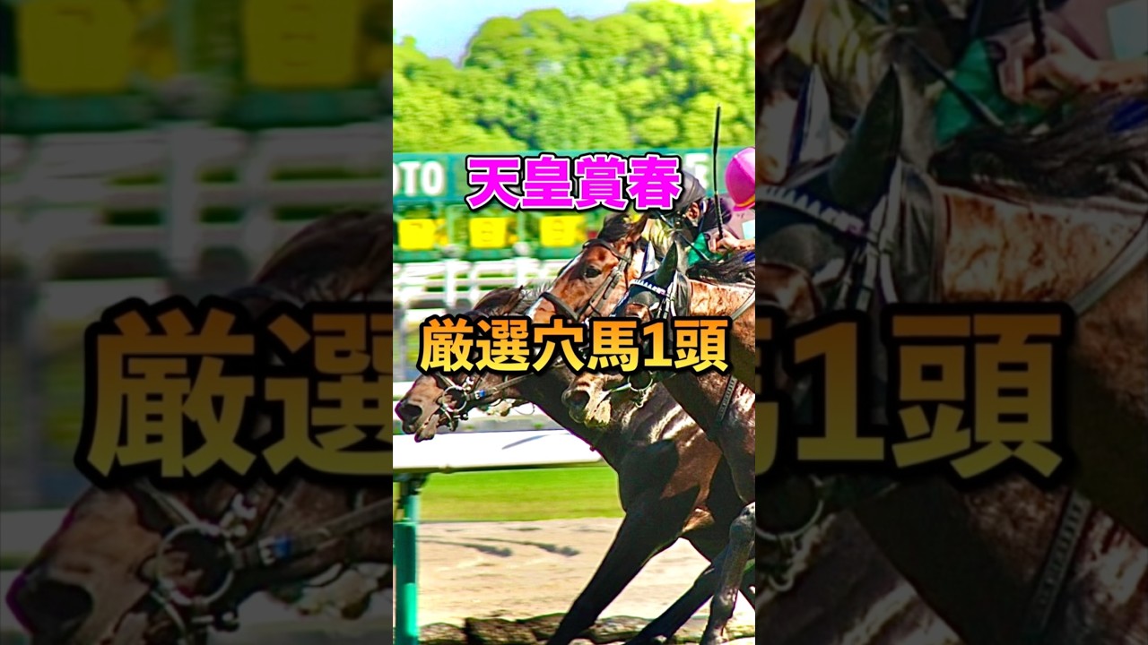 【天皇賞春2025】厳選穴馬1頭