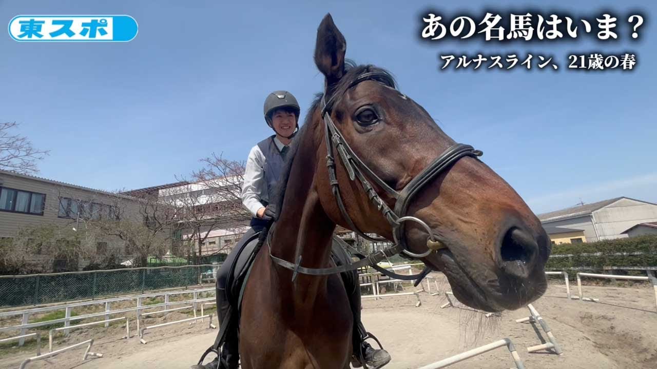 【引退馬】天皇賞・春２着アルナスライン、21歳の春──「おナス」として愛される素敵なおじいちゃんに《東スポ競馬》