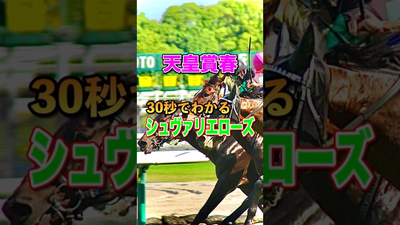 【天皇賞春2025】30秒でわかるシュヴァリエローズ