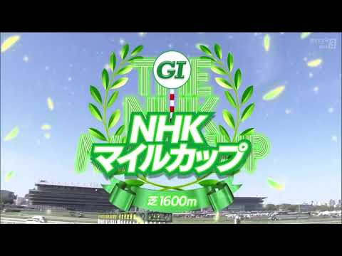 NHKマイルカップ（2024）ファンファーレ／レース前映像
