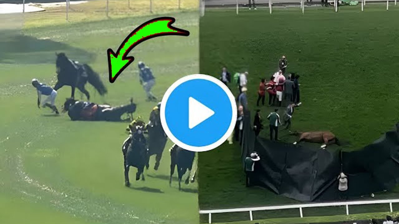 リバティアイランド悲劇！クイーンエリザベス2世カップで衝撃の失速｜競馬ファン絶叫【最新競馬ニュース】