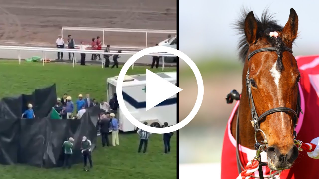 ２３年の３冠牝馬リバティアイランドが予後不良の診断で安楽死　香港・ＱＥ２世Ｃで競走中止 😭